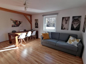 Great holiday apartment in Dienten am Hochköni